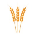 Wheat ears icon or sign. Crop symbol on white background. Design element for bread packaging or beer label. Vector illustration. Royalty Free Stock Photo